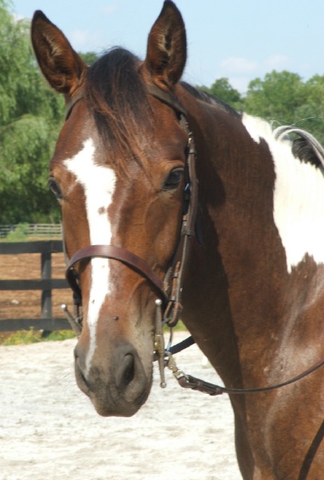 cadence