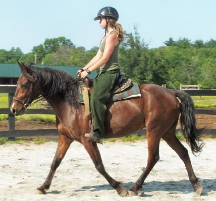 trot