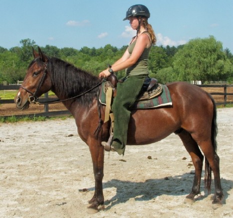 trot