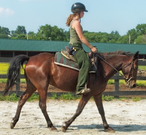 trot