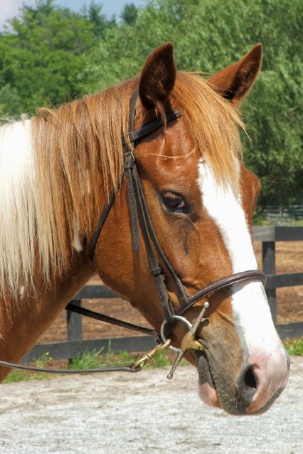 remington