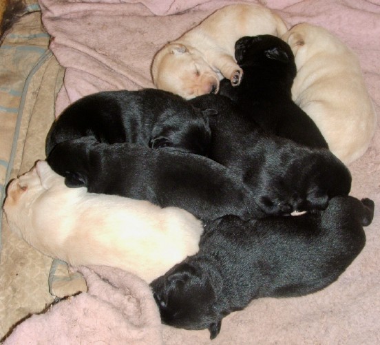snuggling