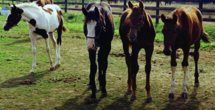 2002babies