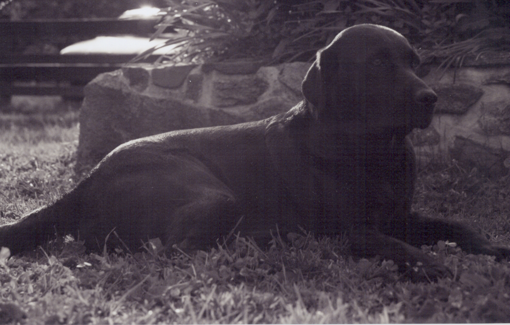 abby