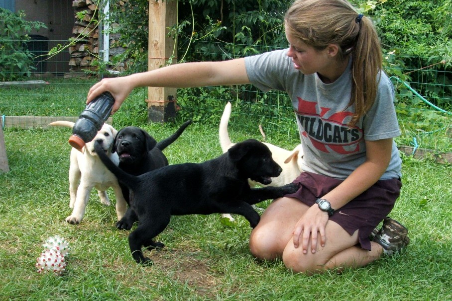 pups