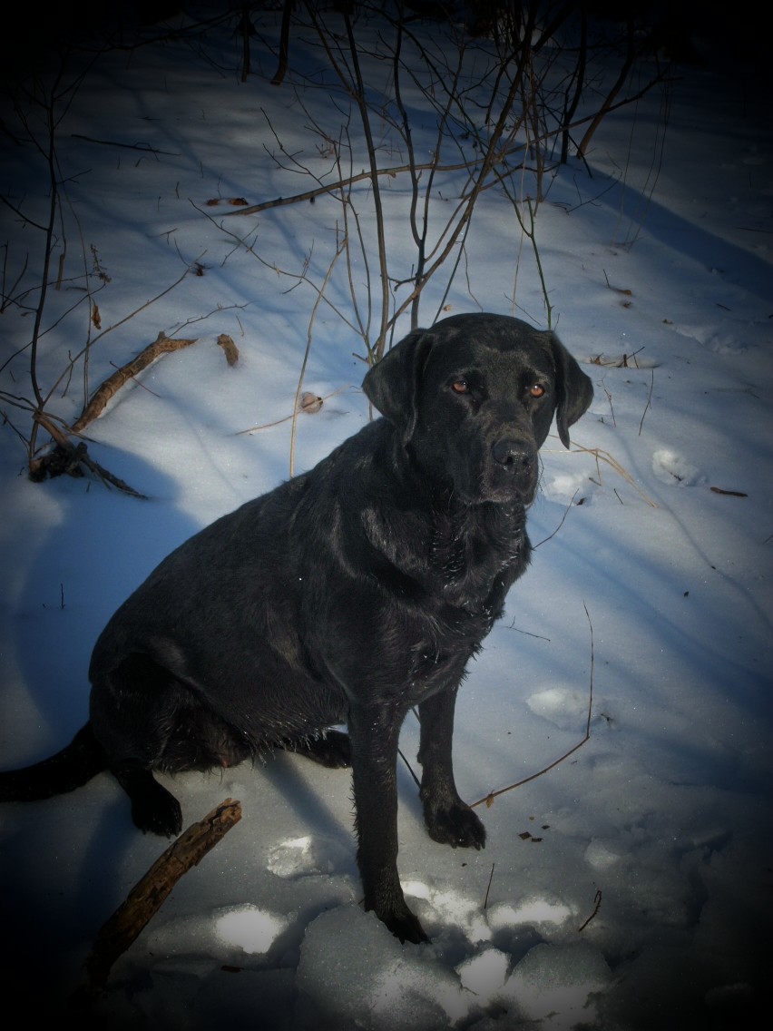 abby