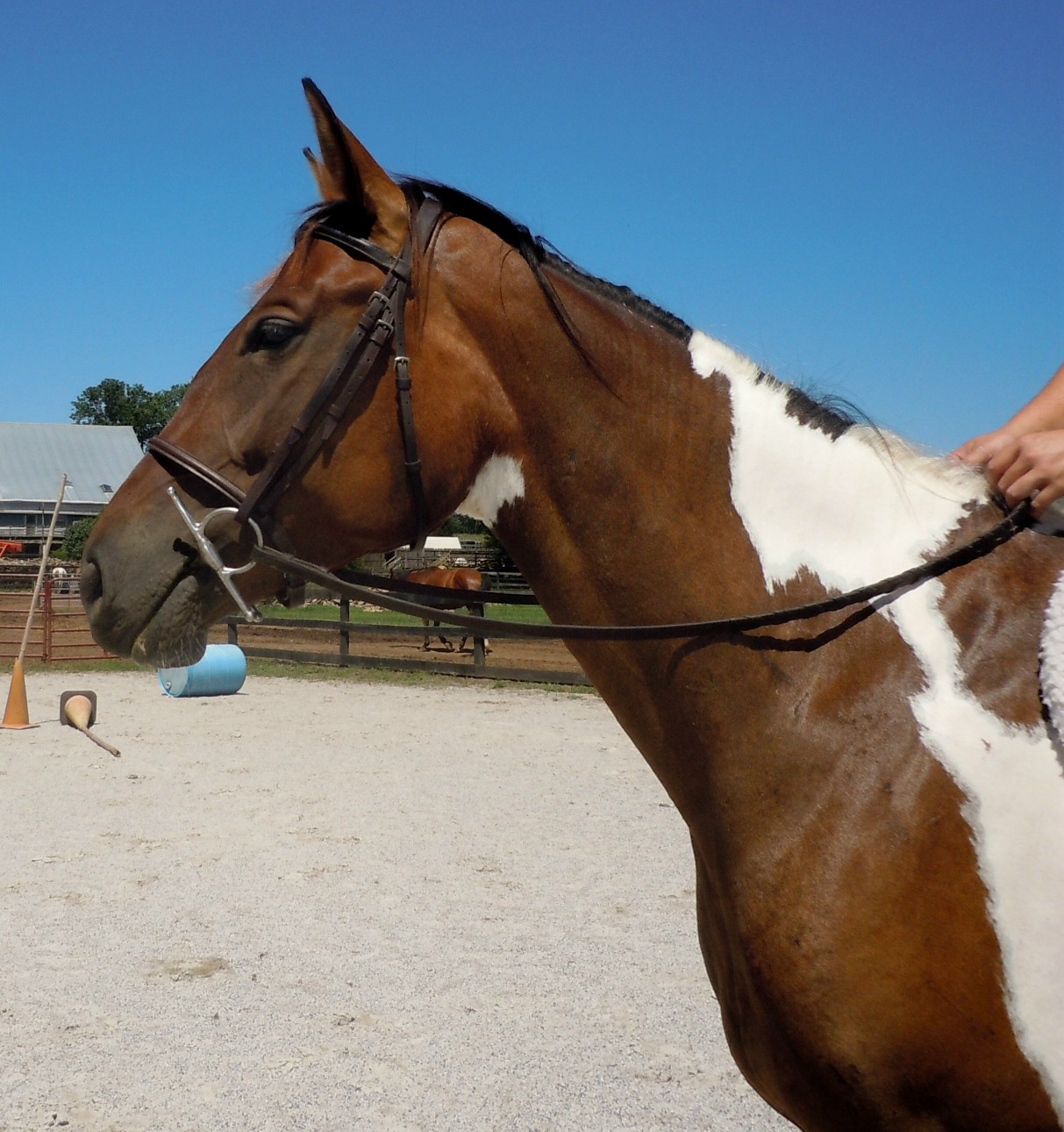 cadence
