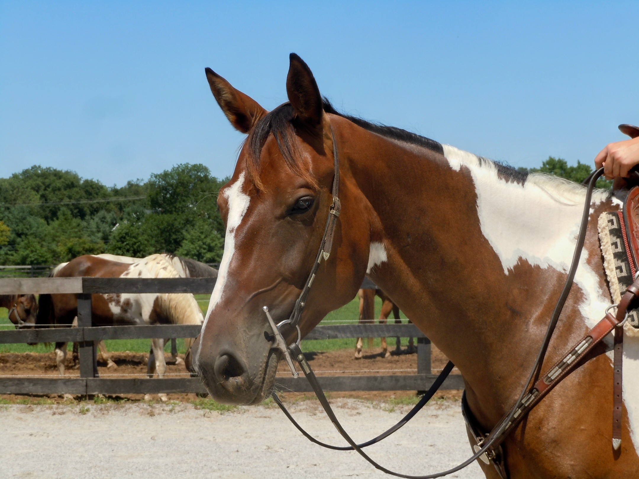 cadence