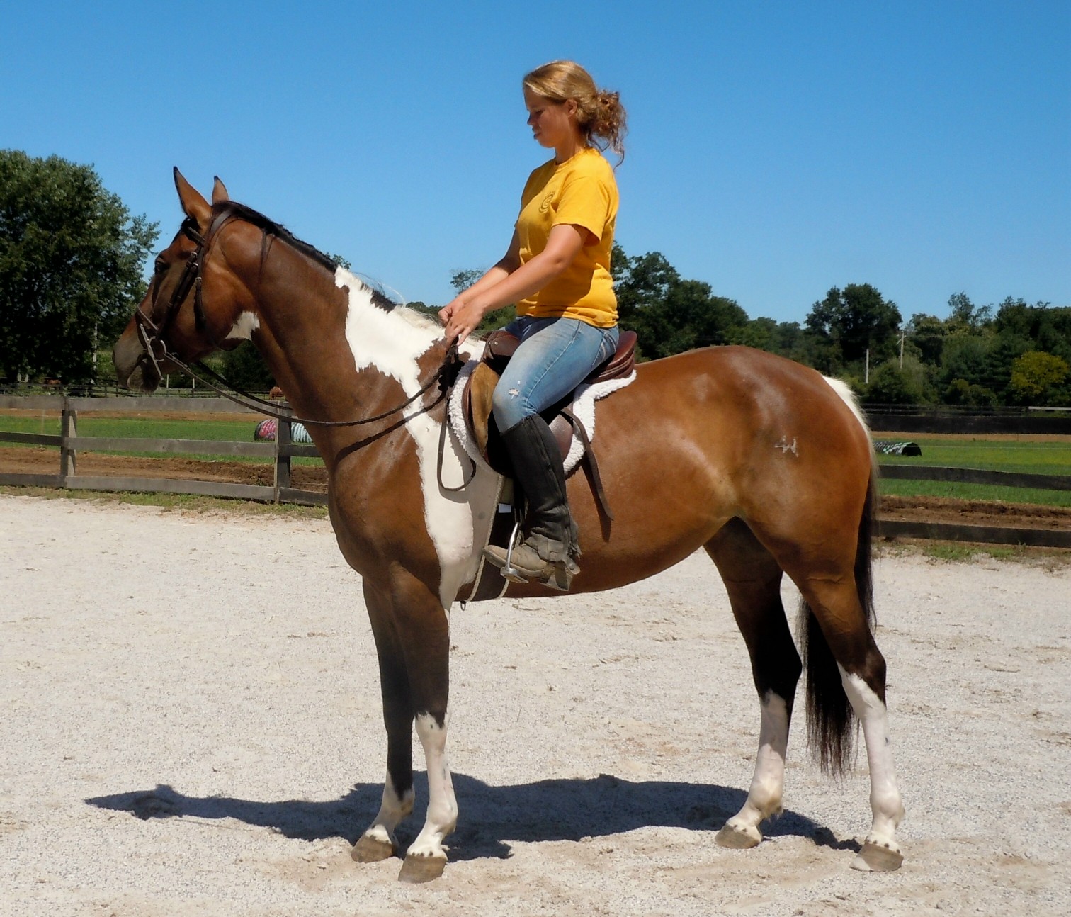 cadence