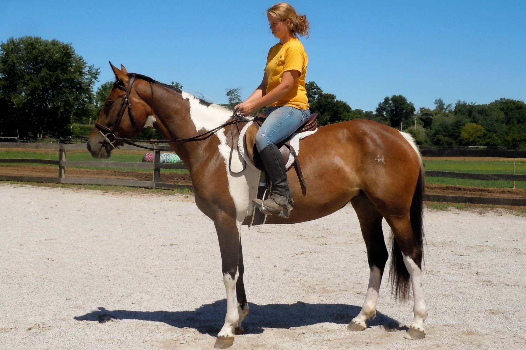 cadence
