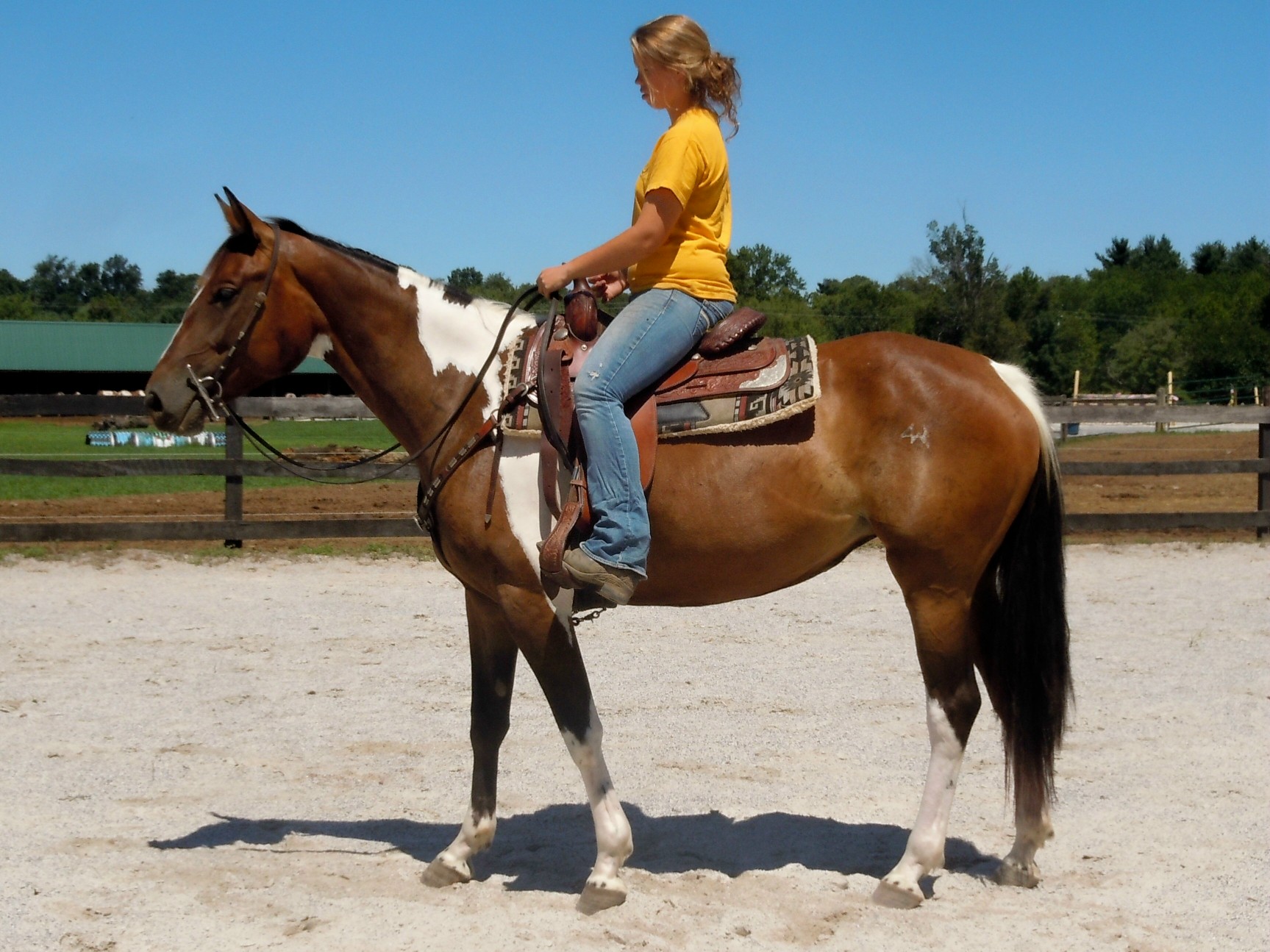 cadence