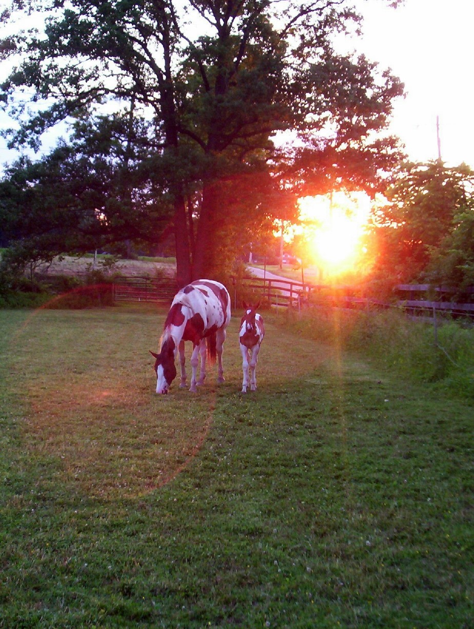 summer evening