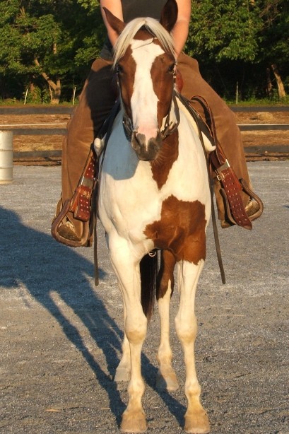 endura