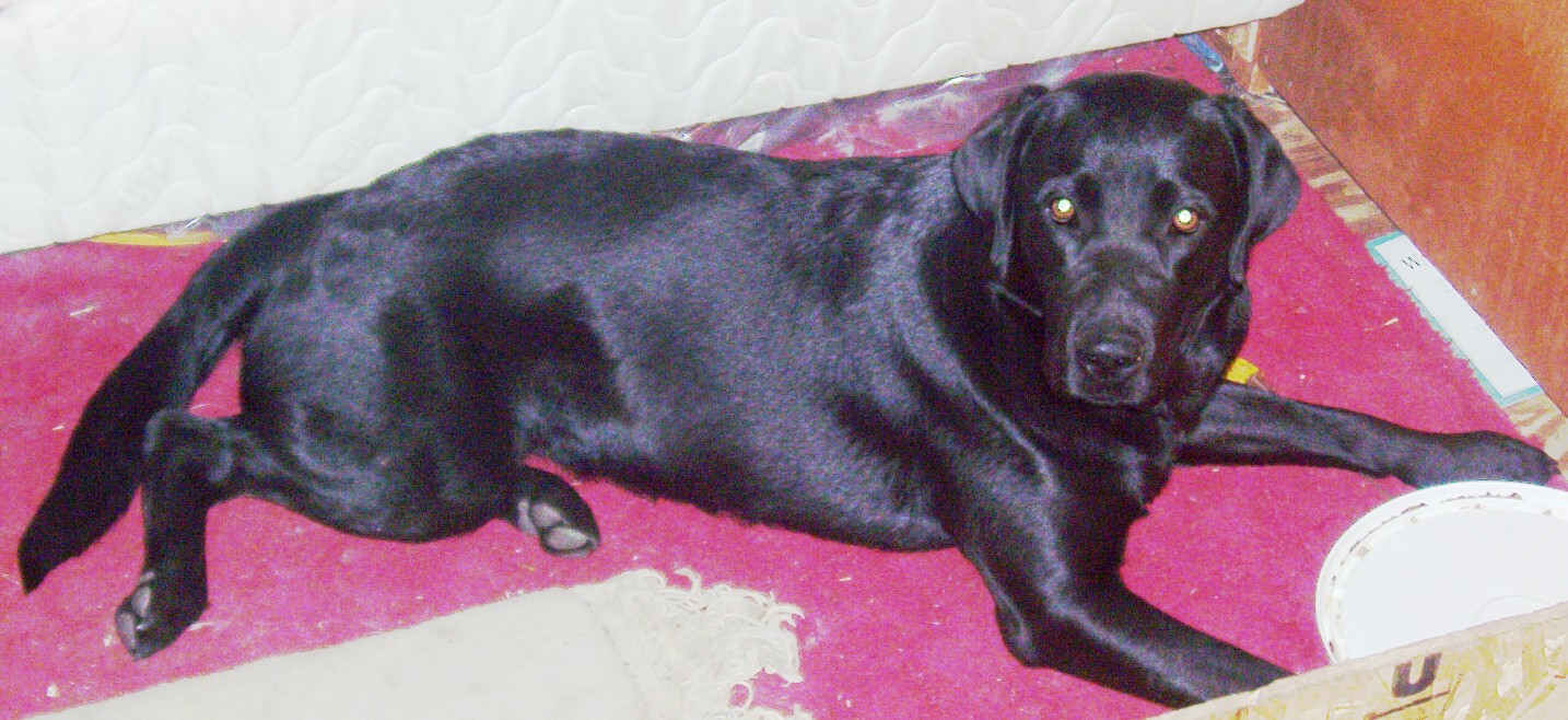 abby