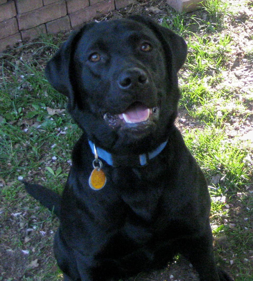 maggie