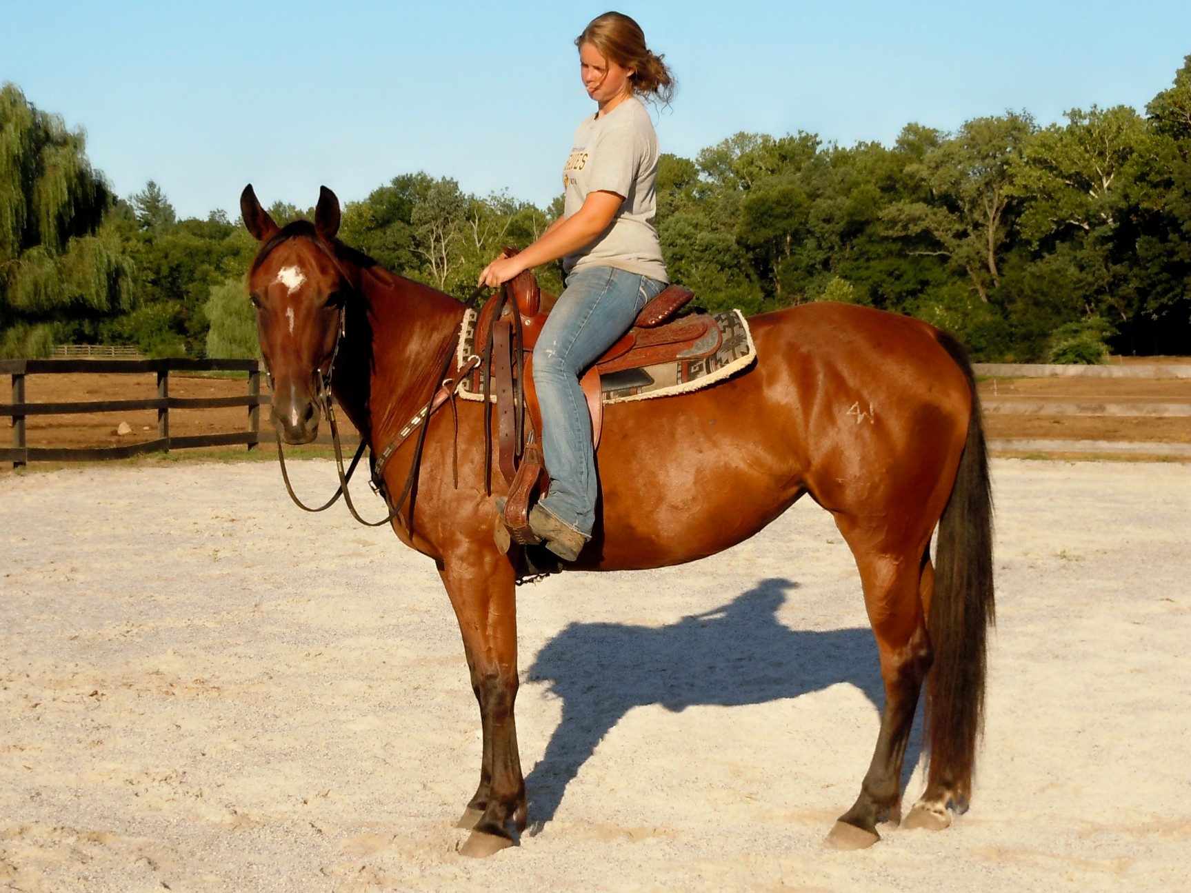 melody