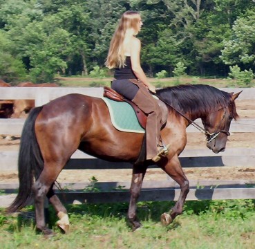 princess