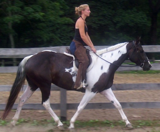 savannah