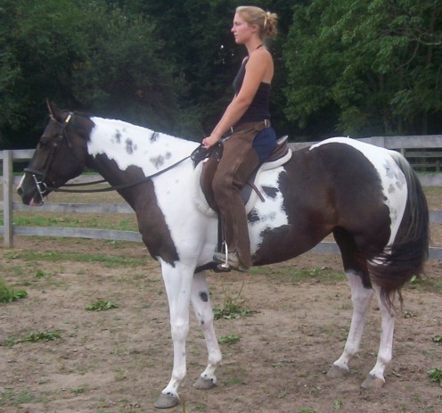 savannah