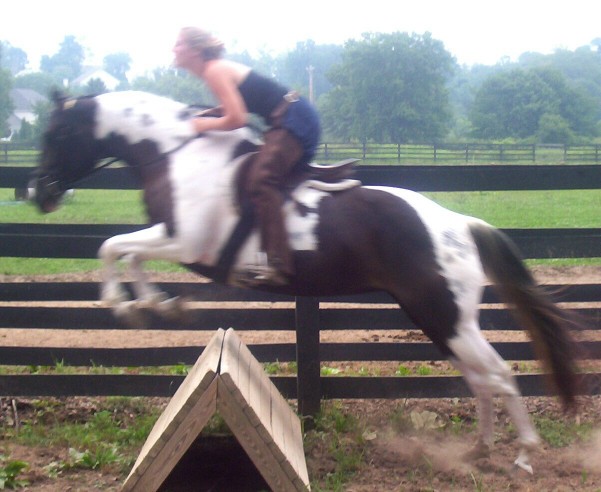 savannah