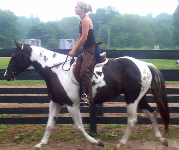 savannah