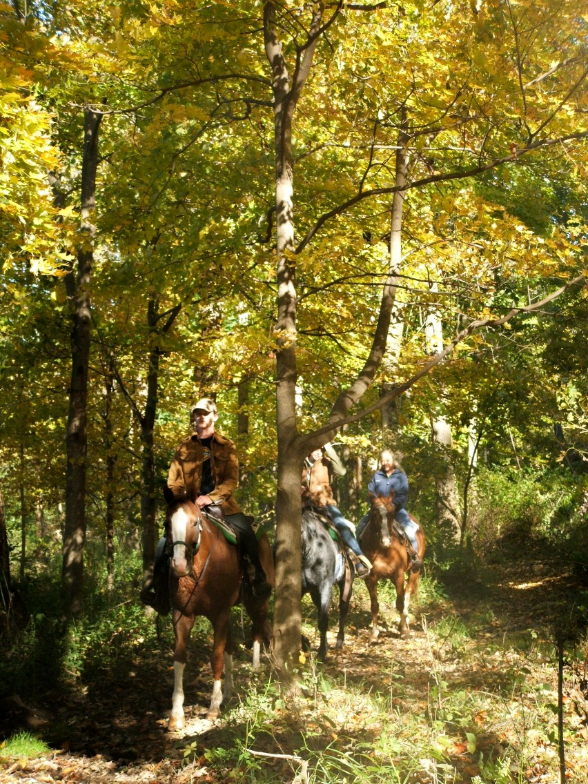 fall ride