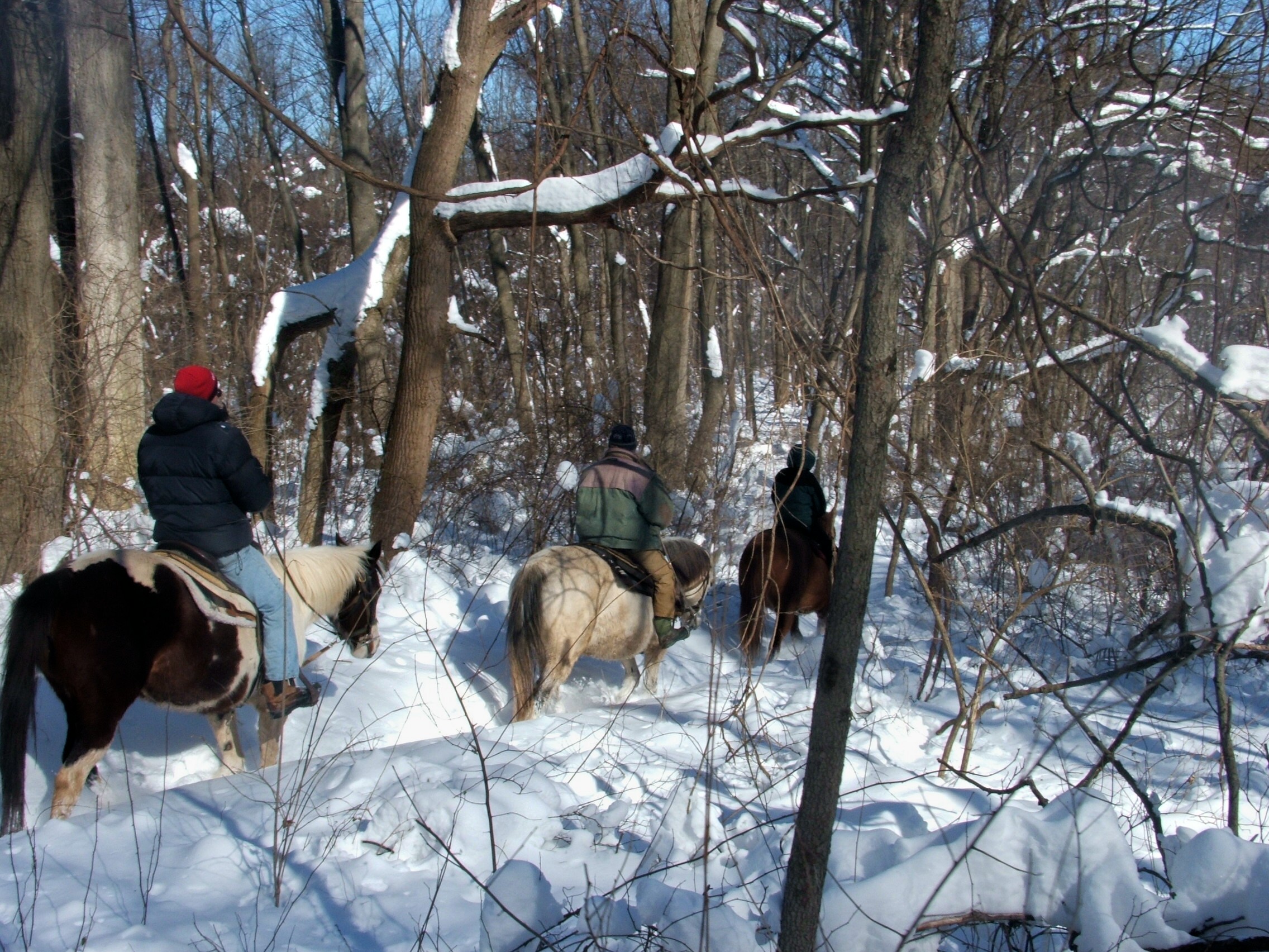 winter ride