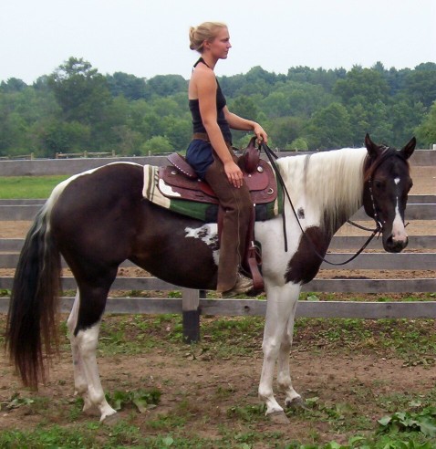 savannah